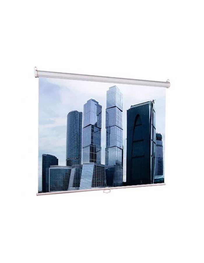 Экран настенно-потолочный Lumien Eco Picture LEP-100112 128x171