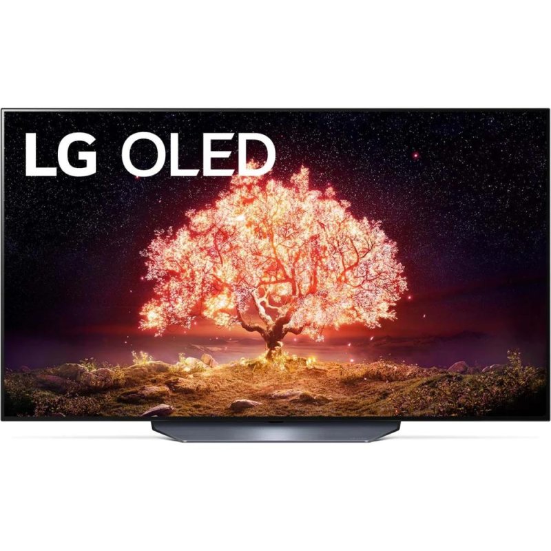 Телевизор 55' LG OLED55B1RLA (4K UHD 3840x2160, Smart TV) серый