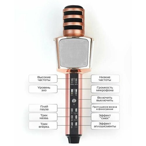 Микрофон (Bluetooth, динамики, USB) SDRD SD-17