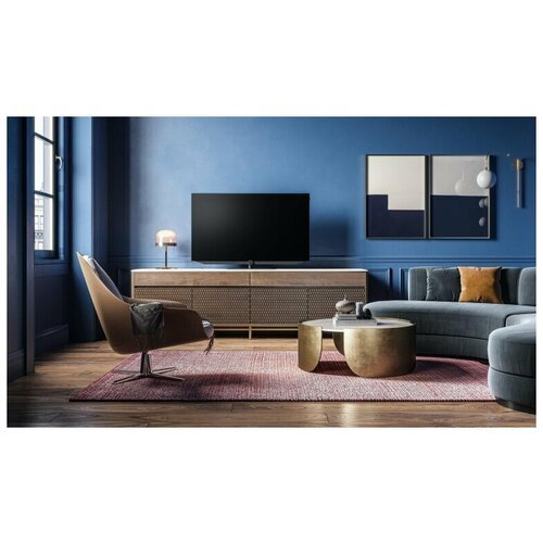 OLED телевизоры Loewe bild v.55 dr+ (60411D50)