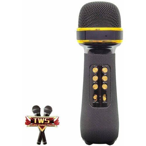 Микрофон беспроводной (Bluetooth, динамики, USB) WSTER WS-898 Черный