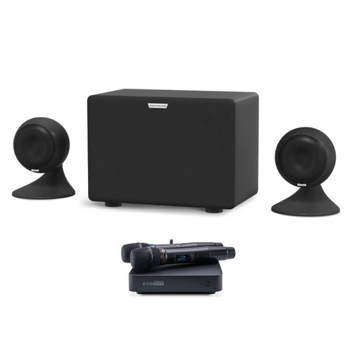 Караоке-комплект EVOBOX Plus Black с микрофонами SE 201D (в EvoCase) и стереосистемой EvoSound Sphere 2.1. Black.