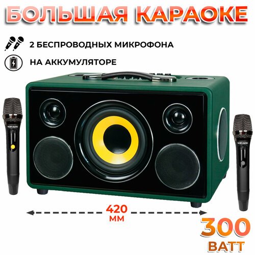 Караоке-система NOIR-Audio MAX-300 с двумя микрофонами и колонкой