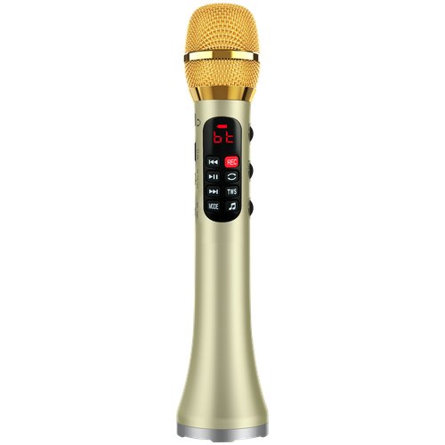 Профессиональный караоке-микрофон L-1038DSP 25W, золотой