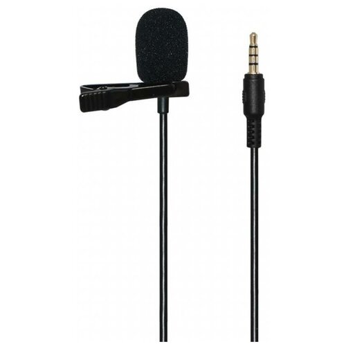 Микрофон Ritmix RCM-110