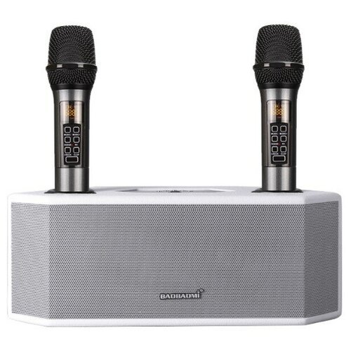 G6 Karaoke Speaker Караоке колонка с двумя беспроводными микрофонами
