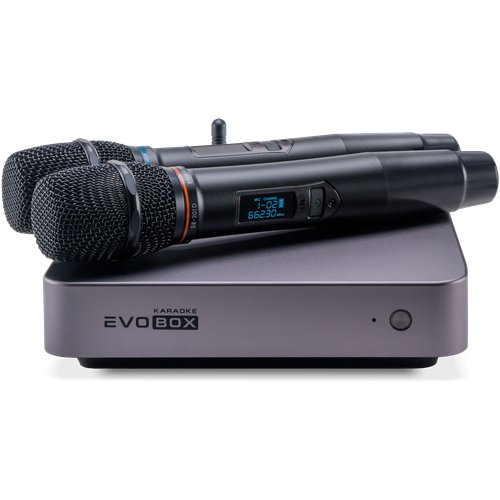 Караоке система для дома Studio Evolution EVOBOX Plus Graphite (Микрофоны в комплекте!)